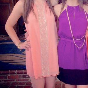 Love Sam- Spaghetti strap embroidered mini